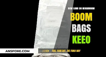 How Long Do Mushroom Grow Bags Last: A Comprehensive Guide