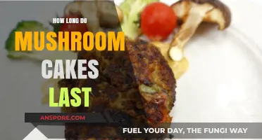 Shelf Life of Mushroom Cakes: Storage Tips for Freshness and Longevity
