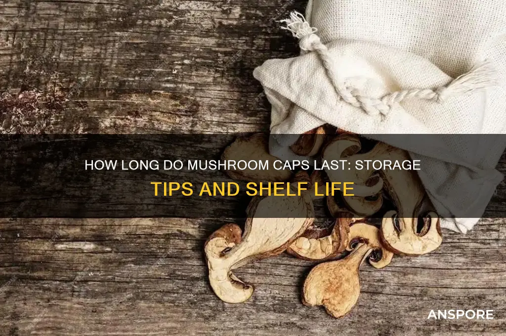 how long do mushroom caps last