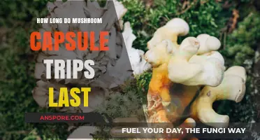 Exploring Mushroom Capsule Trips: Duration and Effects Unveiled