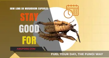 Shelf Life of Mushroom Capsules: How Long Do They Stay Fresh?