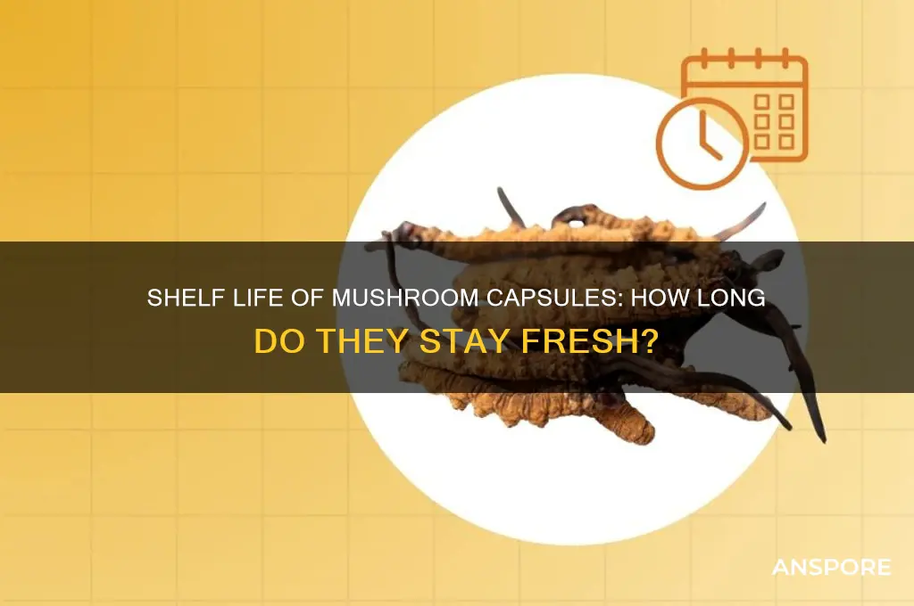 how long do mushroom capsules stay good for