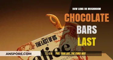 Shelf Life of Mushroom Chocolate Bars: Storage Tips and Duration