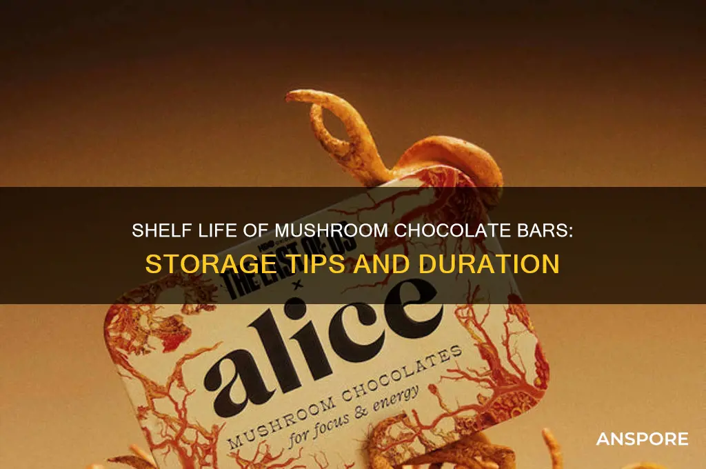 how long do mushroom chocolate bars last