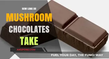 Mushroom Chocolates: Understanding the Timeframe for Effects and Duration