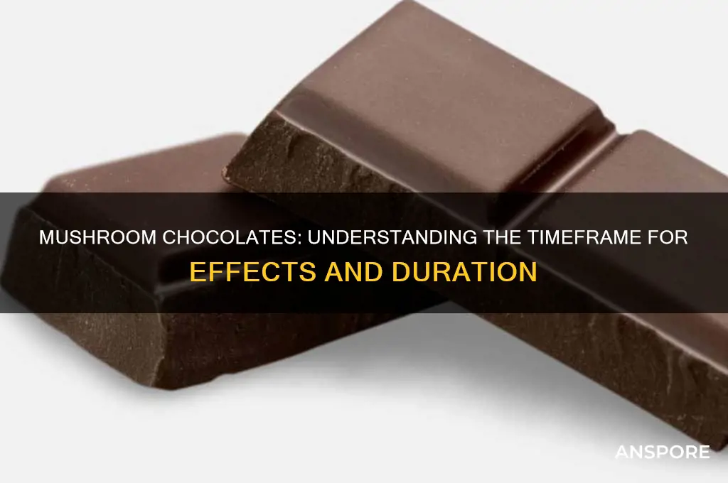 how long do mushroom chocolates take