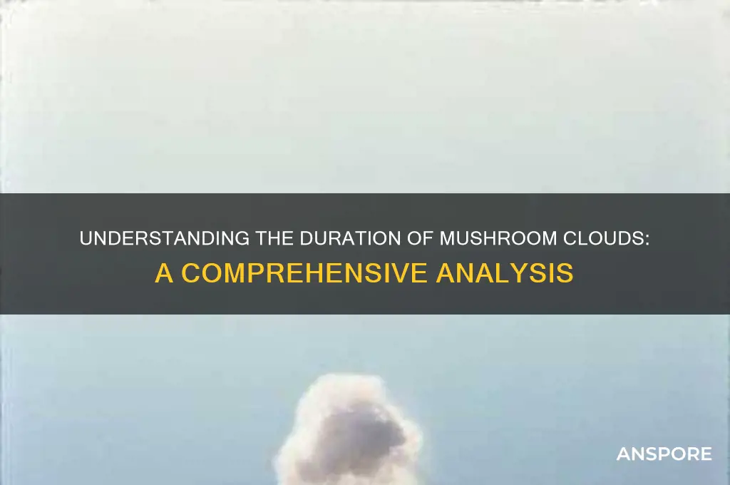 how long do mushroom clouds last