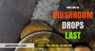 Understanding Mushroom Drops: Duration and Shelf Life Explained