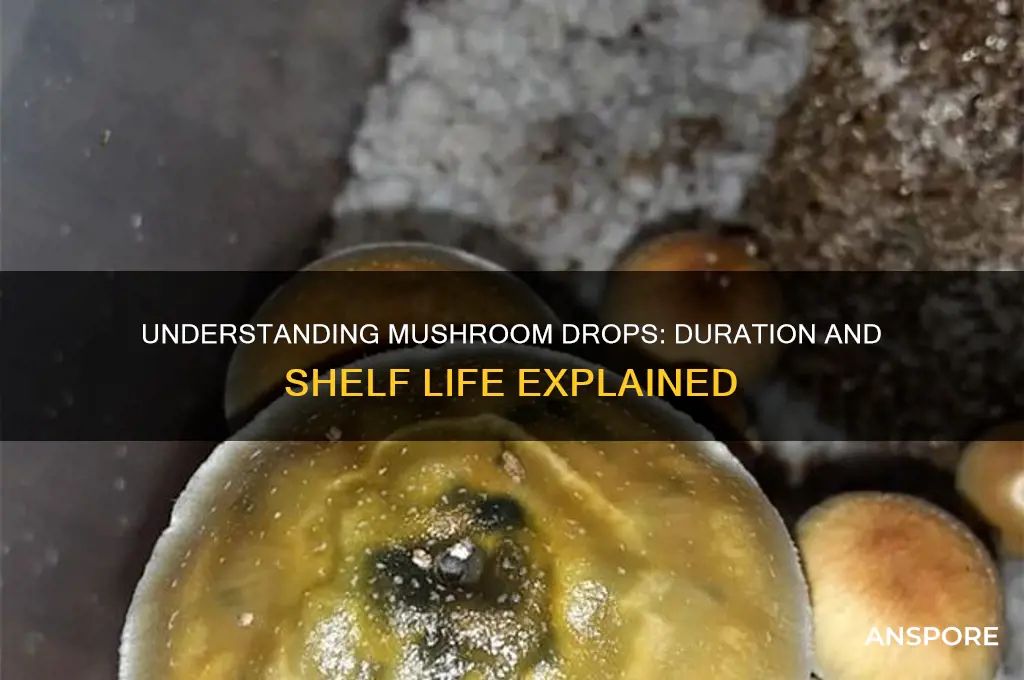 how long do mushroom drops last