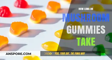 How Long Do Mushroom Gummies Take to Kick In?