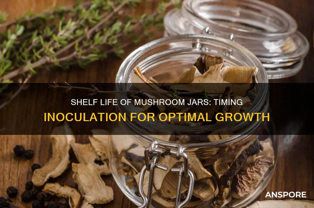 how long do mushroom jars last before you innoculate
