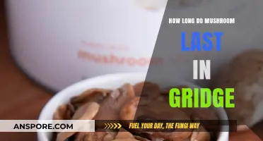 How Long Do Mushrooms Last in the Fridge: A Guide