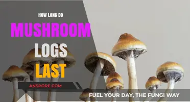 Maximizing Mushroom Log Lifespan: Tips for Long-Lasting Harvests