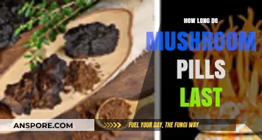 How Long Do Mushroom Pills Last: Shelf Life and Potency Explained