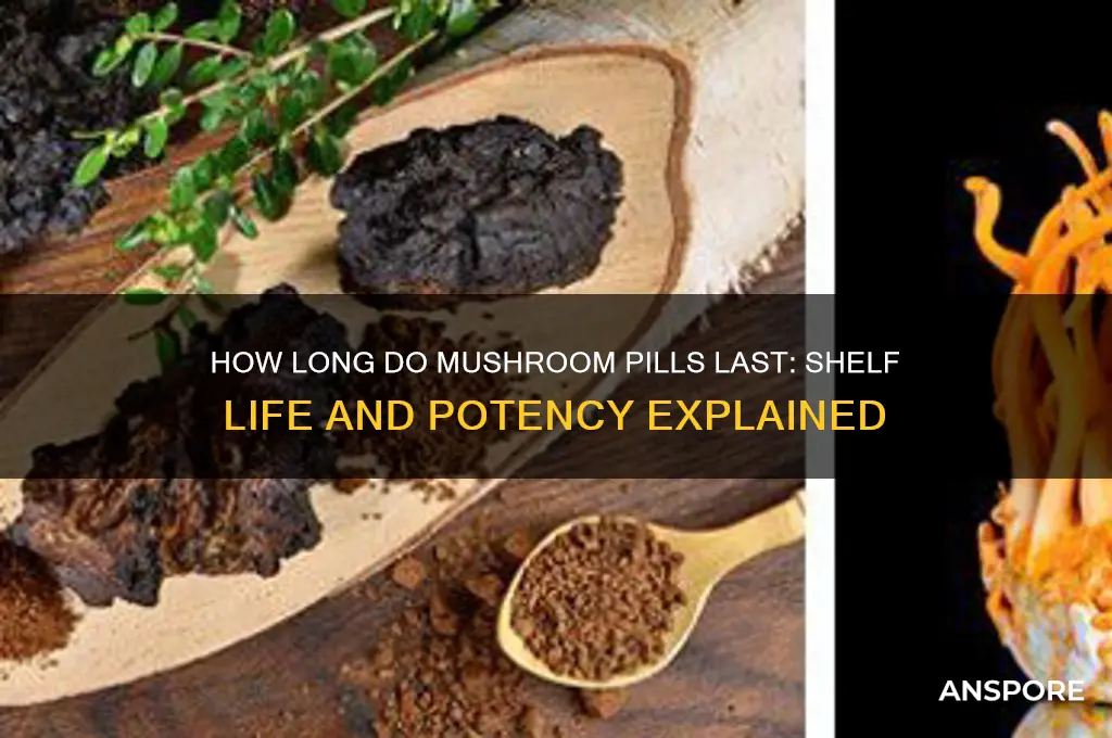 how long do mushroom pills last