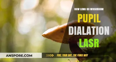How Long Does Mushroom-Induced Pupil Dilation Typically Last?