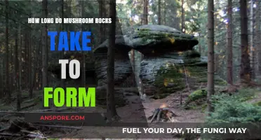 Unveiling the Timeframe: Mushroom Rocks Formation Process Explained