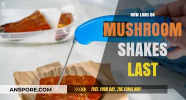 Mushroom Shakes Shelf Life: How Long Do They Stay Fresh?
