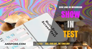 Detecting Mushrooms in Tests: Understanding Duration and Factors