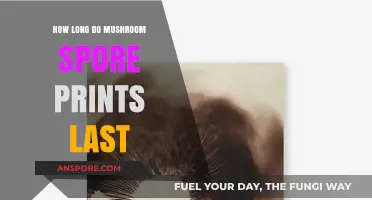 Preserving Mushroom Spore Prints: Lifespan and Storage Tips Revealed