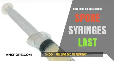 Mushroom Spore Syringe Shelf Life: How Long Do They Last?
