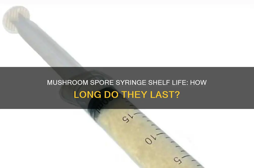 how long do mushroom spore syringes last
