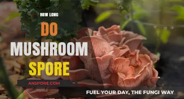 Understanding the Lifespan of Mushroom Spores: A Comprehensive Guide