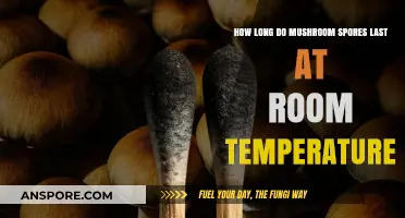Mushroom Spores Lifespan: How Long Do They Survive at Room Temperature?