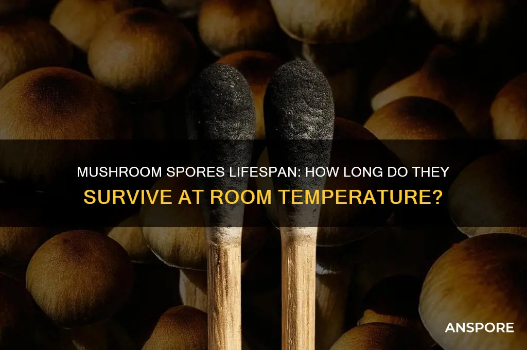 how long do mushroom spores last at room temperature