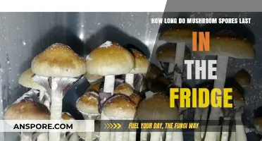 Extending Mushroom Spores Lifespan: Fridge Storage Tips and Duration