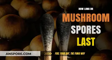 Understanding Mushroom Spores: Lifespan, Viability, and Storage Tips