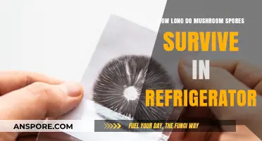 Mushroom Spores Lifespan: Refrigerator Storage Survival Guide