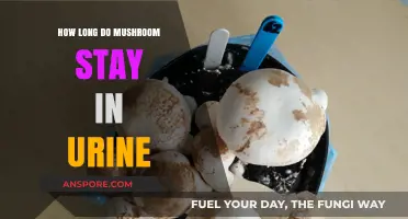 How Long Do Mushrooms Stay Detectable in Urine?