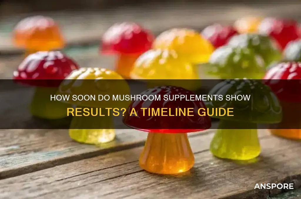 how long do mushroom supplements take to work