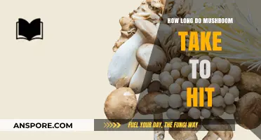 How Long Do Mushrooms Take to Hit: A Comprehensive Guide