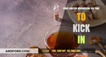 Mushroom Tea Effects: Timing and Factors Influencing Onset