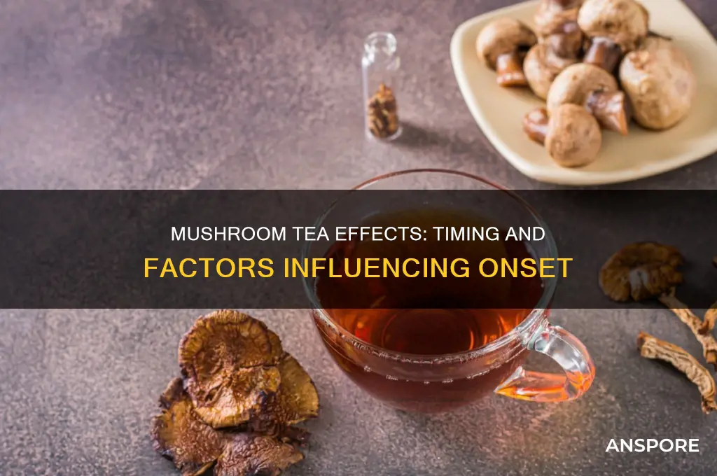 how long do mushroom tea take to kick in