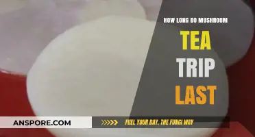 Exploring the Duration of Mushroom Tea Trips: What to Expect