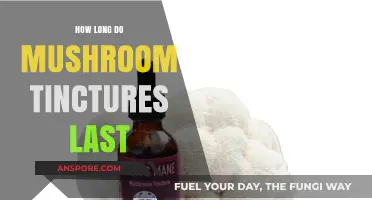 Shelf Life of Mushroom Tinctures: How Long Do They Last?