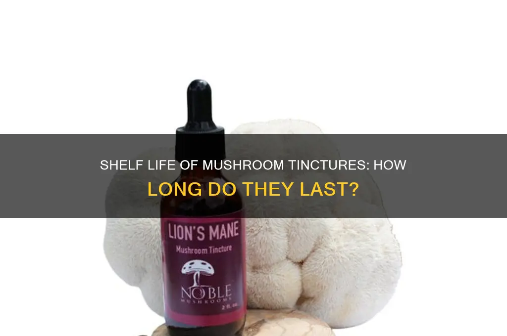 how long do mushroom tinctures last