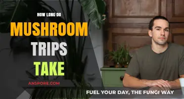Exploring Mushroom Trips: Duration, Effects, and What to Expect