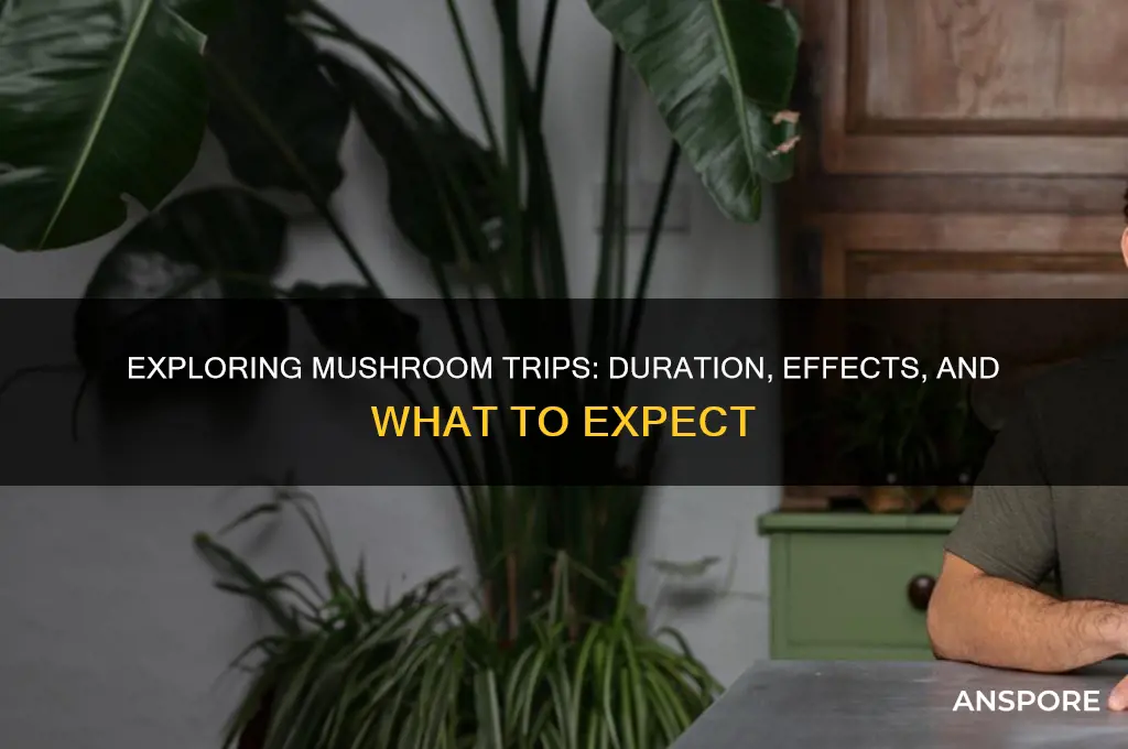 how long do mushroom trips take
