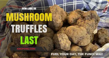 Shelf Life of Mushroom Truffles: Storage Tips for Freshness