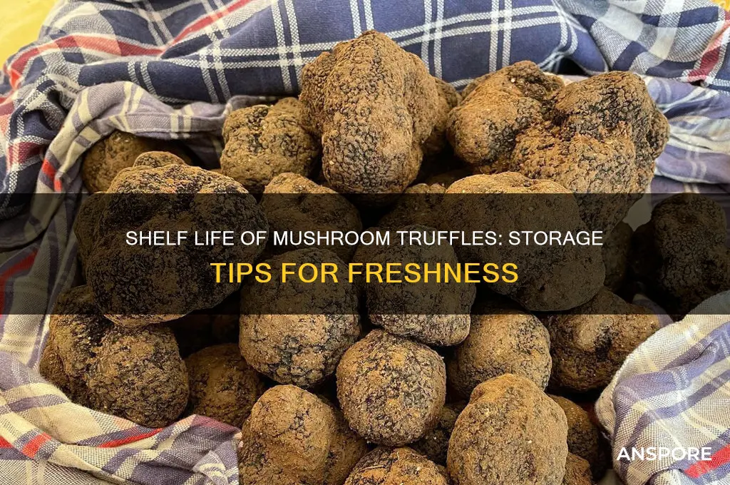 how long do mushroom truffles last