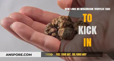 How Long Do Mushroom Truffles Take to Kick In?