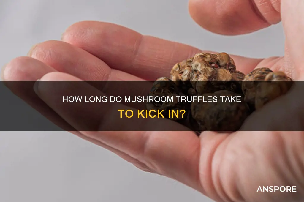 how long do mushroom truffles take to kick in