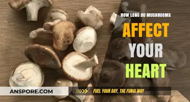 Mushrooms and Heart Health: Duration of Effects Explained