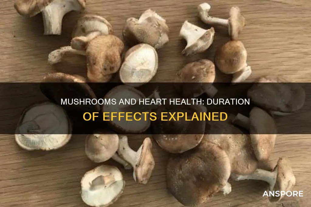 how long do mushrooms affect your heart