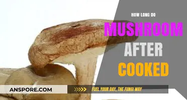 Cooked Mushrooms Shelf Life: How Long Do They Last?