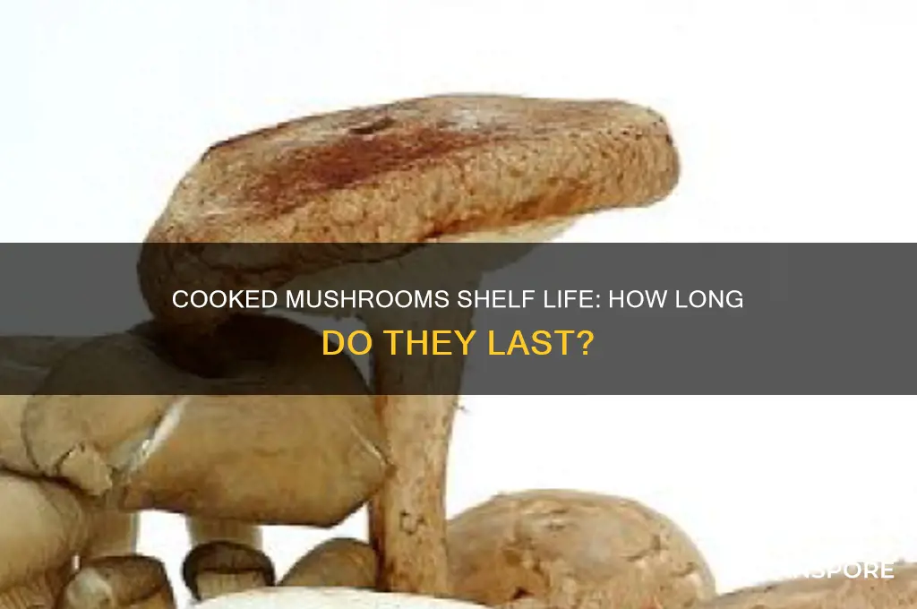 how long do mushrooms after cooked